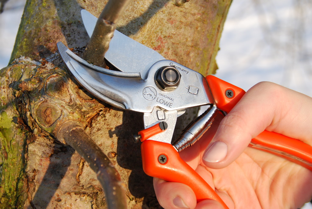 Brewt Power Systems Pneumatic pruners, specialty horticultural tools